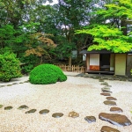 新樹の茶会　新緑が眩しく輝く中